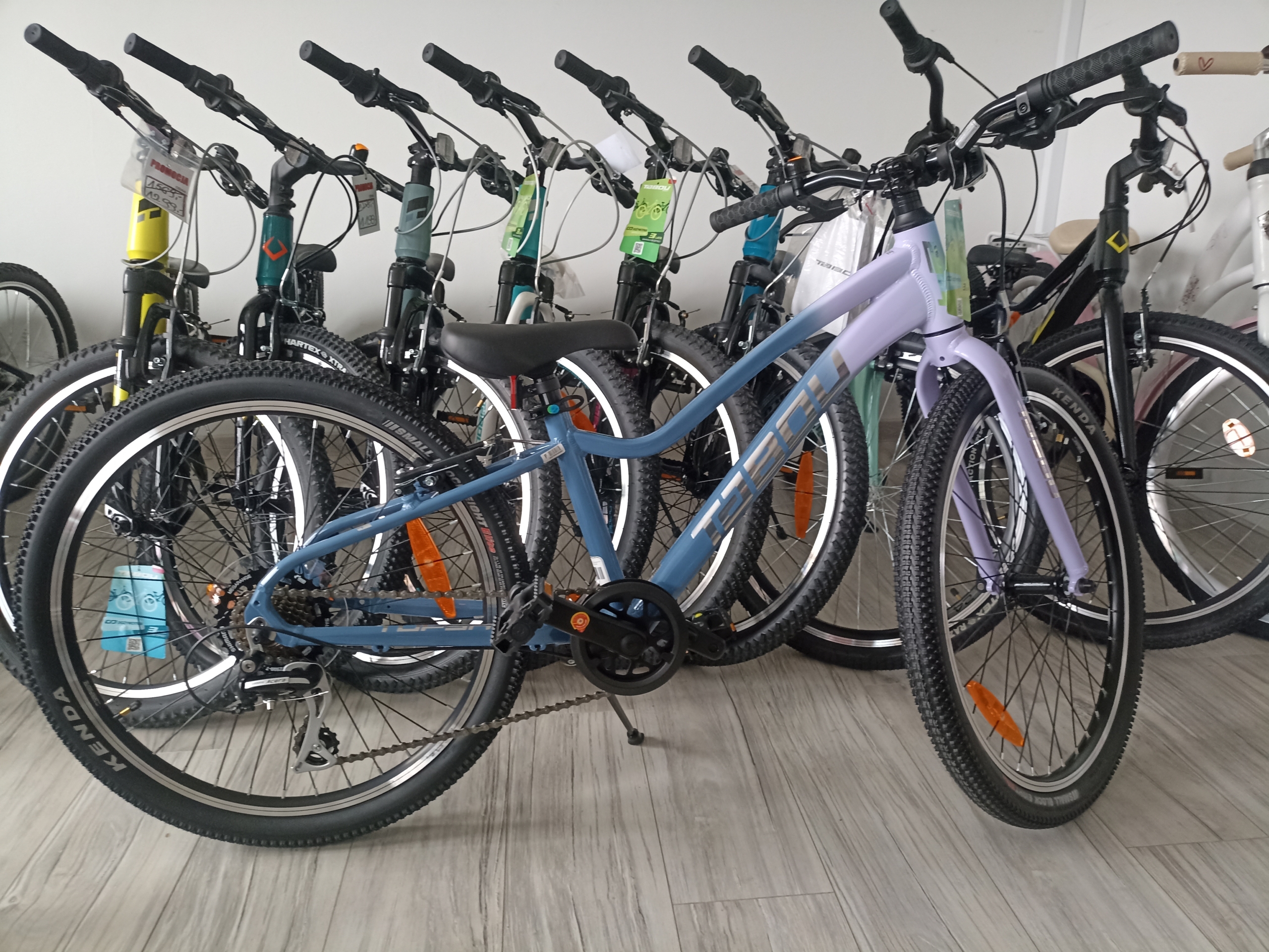 Tabou Topshe 24 Lite Melorose/Granatowy 2026 - obrazek 3